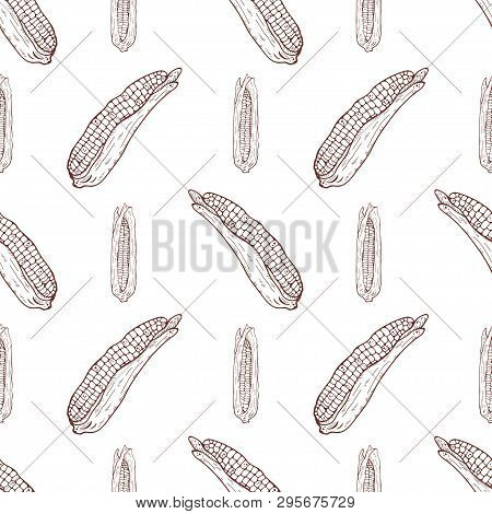 Seamless Pattern With Corn Cobs And Lines On A White Background. Vector Illustration