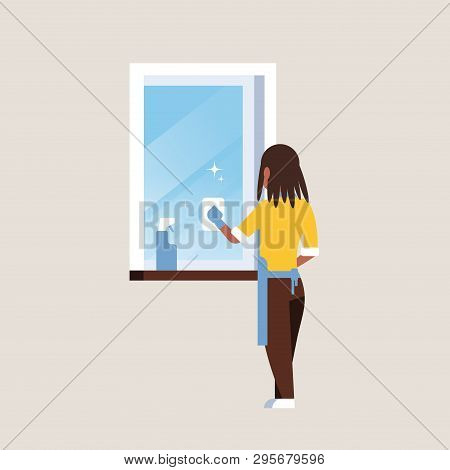Woman In Gloves And Apron Cleaning Window With Rag Cleaner Spray Rear View African American Housewif