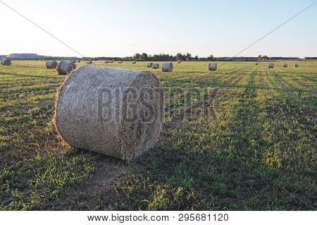 Bale Of Hay On The Field In The Form Of A Twisted Roll Top View, The Horizon Of The Field On The Bac