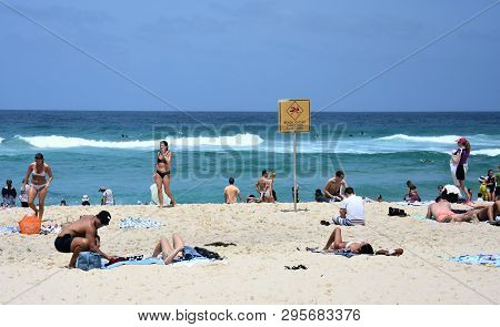 Tamarama, Australia - Nov 4, 2018. People Relaxing At The Beach On A Hot Sunday In Spring Time. Tama
