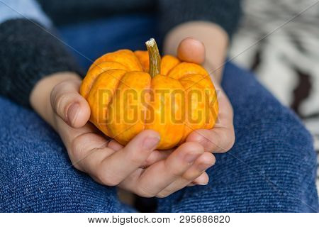 A Girl Holds A Small Orange Pumpkin On Her Lap.