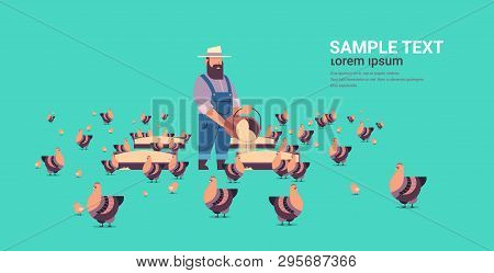 Male Farmer Feeding Chicken And Rooster Free Range Farming Breeding Hed For Food Poultry Farm Concep