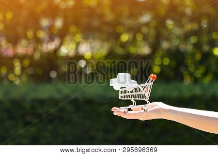 Woman Hand Holding A Shopping Cart And Car Model In Inside In The Public Park, Loan And Saving For B