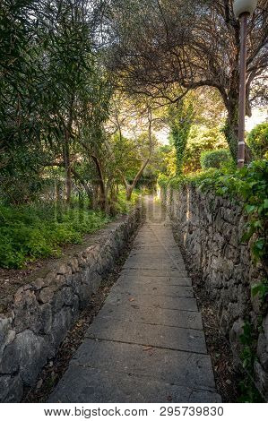 Stone Walkway Path In A Forest In Mlini, Croatia.