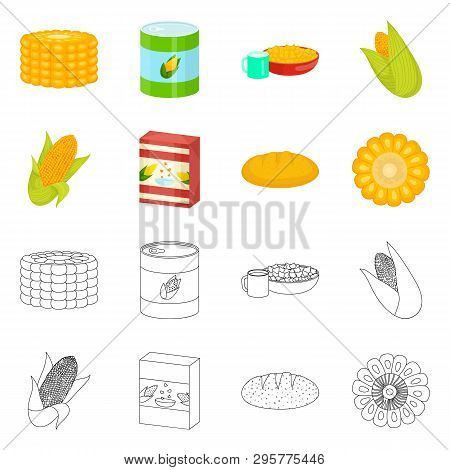 Vector Illustration Of Cornfield And Vegetable Symbol. Collection Of Cornfield And Vegetarian Stock 