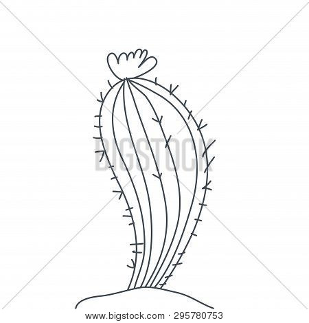 Cactus In Landscape Isolated Icon Vector Illustration Design