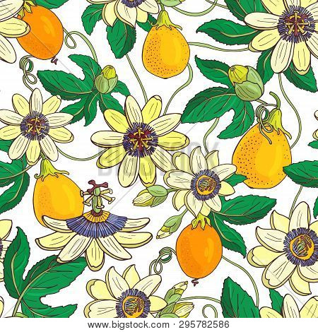 Passionflower Passiflora,passion Fruit On A White Background.floral Seamless Pattern With Big Bright