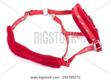 Horse Halter In Front Of White Background