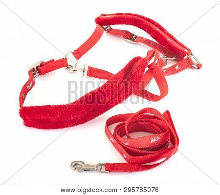 Horse Halter In Front Of White Background