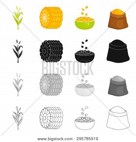 Vector Illustration Of Cornfield And Vegetable Logo. Set Of Cornfield And Vegetarian Vector Icon For