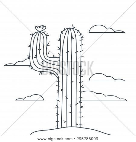 Cactus In Landscape Isolated Icon Vector Illustration Design