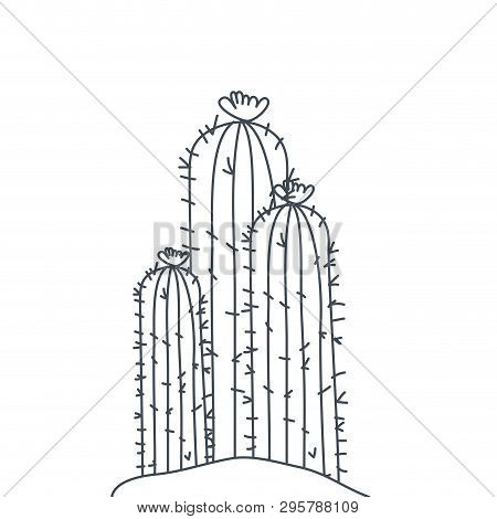 Cactus In Landscape Isolated Icon Vector Illustration Design