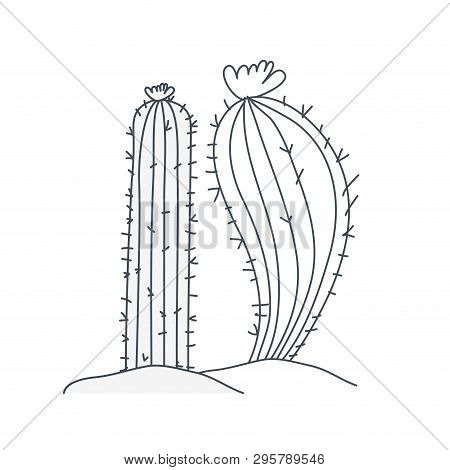Cactus In Landscape Isolated Icon Vector Illustration Design