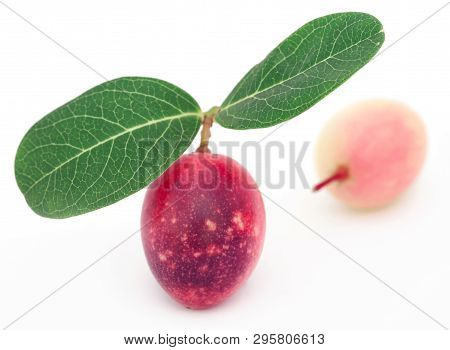 Koromcha Or Carandas Of Southeast Asia Eaten As Delicious Vegetable