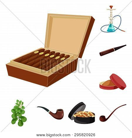 Vector Design Of Cigarette And Tobacco Icon. Set Of Cigarette And Nicotine Vector Icon For Stock.