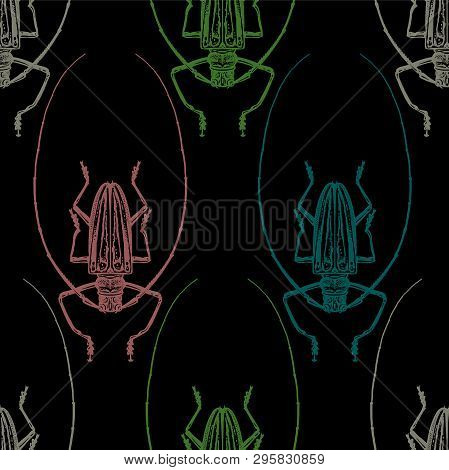 Beetle Harlequin. Color Print On Black Background. Seamless Pattern With Insect. Sketch Of Bug. Real