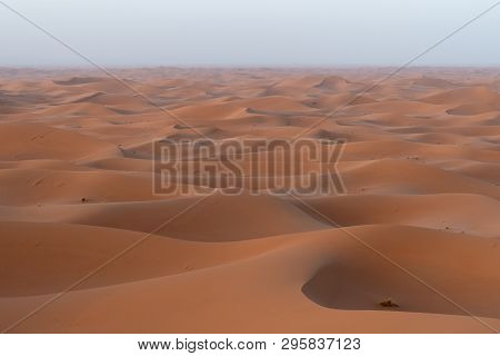 Sunrise On Sand Dunes, Sahara Sand Dunes Africa Morocco