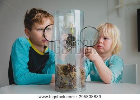 Kids Study Batterfly Coming Out Of Cocoon, Doing Rearch Project For School