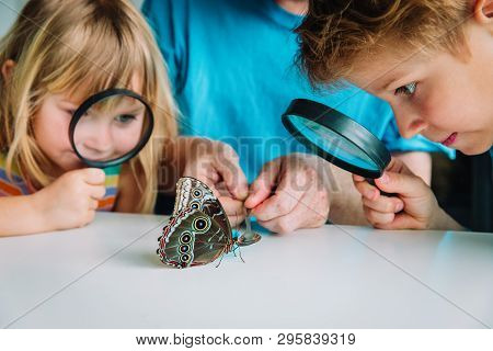 Kids Study Batterfly Feeding Process, Doing Rearch Project For School