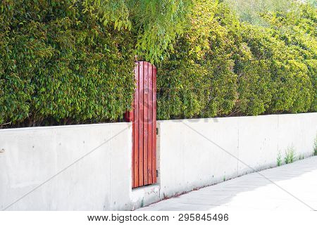 Picture Of A Wooden Door Painted With Red Color And Red Headge Over Stone Basement. Contrast Picture