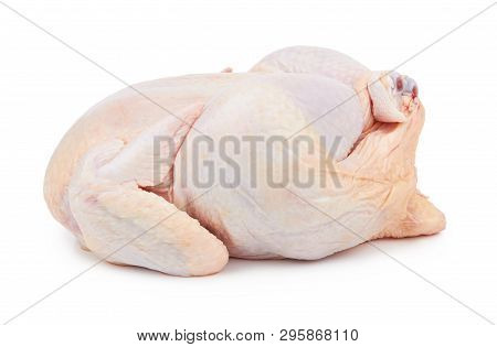 Raw Fresh Chicken Isolated On White Background