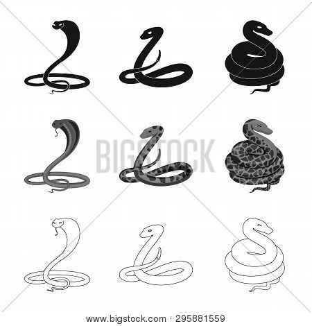 Vector Design Of Mammal And Danger Symbol. Set Of Mammal And Medicine Stock Symbol For Web.