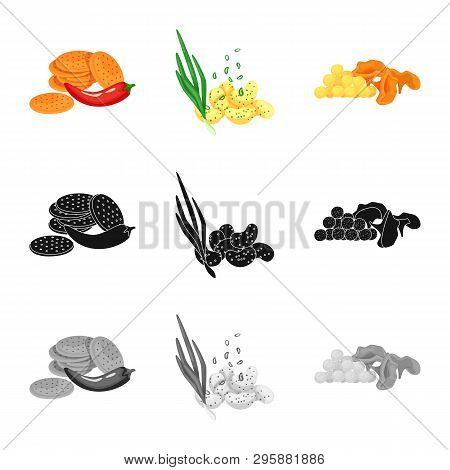 Vector Design Of Taste And Seasonin Symbol. Collection Of Taste And Organic   Vector Icon For Stock.