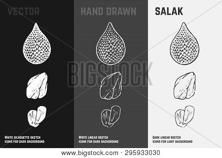 Hand Drawn Salak Fruit Or Salacca Icons Set Isolated On White, Gray And Black Chalk Background. Sket