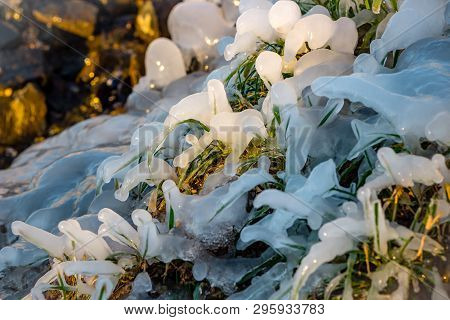 Beautiful Icy Springs In The Cold Season