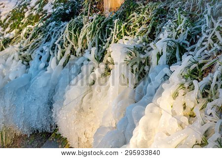 Beautiful Icy Springs In The Cold Season