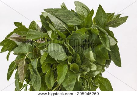 Bunch Of Green Amaranth Leaves (amaranthus Viridis) On A White Background