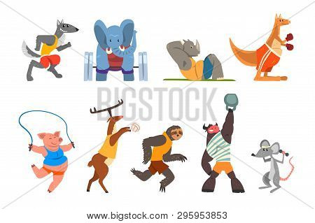 Animals Doing Exercise, Kangaroo, Hippo, Wolf, Elephant, Pig, Bull, Sloth And Deer In The Gym, Fitne