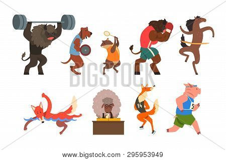 Animals Doing Exercise In The Gym, Fitness And Healthy Lifest.yle Vector Illustrations On A White Ba