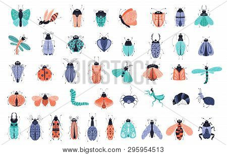 Vector Set Of Cute Cartoon Bugs Or Beetles, Butterflies. Isolated Elements, Clipart On White Backgro