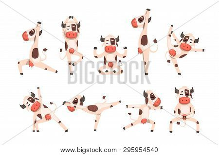 White Spotted Cow Set, Farm Animal Character Doing Sport Exercise Vector Illustrations On A White Ba
