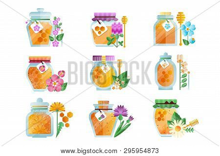 Glass Jars Of Herbal Honey Set, Natural Golden Organic Honey And Wild Flowers Vector Illustrations O