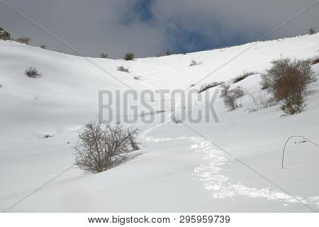 traces of hiker with snowshoes prints on the snow in winter Nebrodi Park, Sicily 