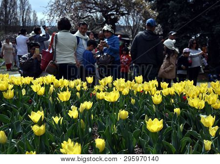 Bowral, Australia - Sept 22, 2018. People Enjoying The Festivities In The Corbett Gardens During The