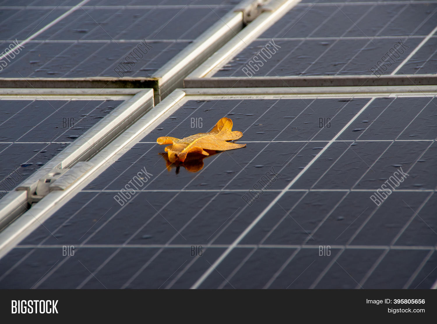 Wet Photovoltaic Image & Photo (Free Trial) Bigstock
