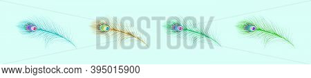 Peacock Feather Icon Design Template Set With Various Models For Janmashtami In India. Modern Vector