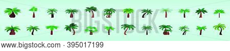 Set Of Palm Tree Cartoon Icon Design Template With Various Models. Modern Vector Illustration Isolat
