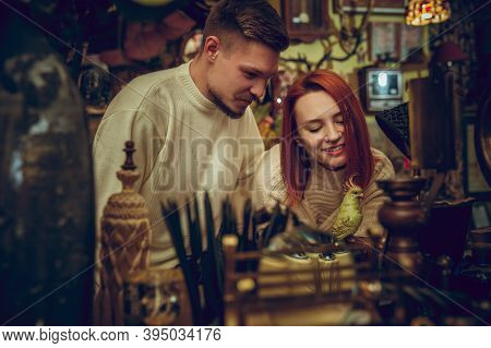 Parrot. Smiling Family, Caucasian Couple Looking For Home Decoration And Holidays Gifts In Household