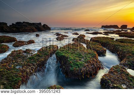 Amazing Seascape. Ocean With Moving Wave. Low Lide. Stones Covered By Green Moss And Seaweeds. Conce