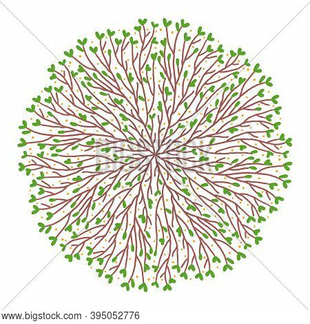 Colorful Vector Illustration. Round Mandala With Tree Brunces And Leaves. Eco And And Natural Concep