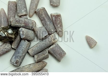 Stone Fossils Of Prehistoric Squid Like Sea Creates.