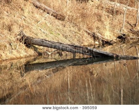 Reflection