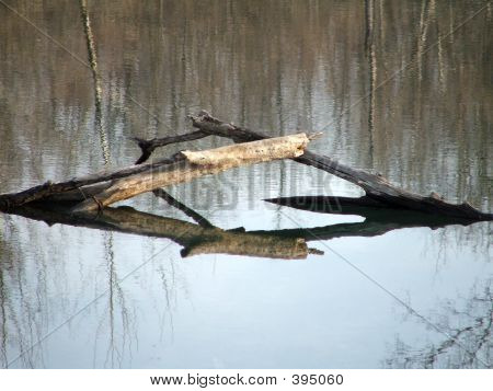Reflections