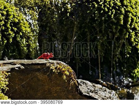 Toy Of Red Dinosaur On Stone Among Mountain Vegetation Of Streams. A Humorous Concept About Return O
