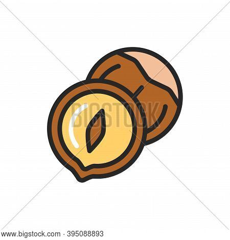 Nazel Nut Color Line Icon. Isolated Vector Element. Outline Pictogram For Web Page, Mobile App, Prom