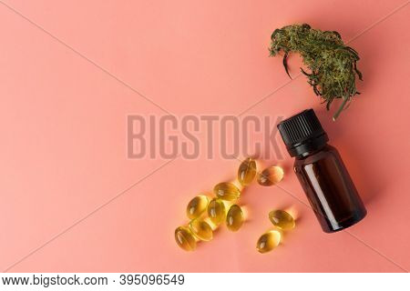 Cannabis Bud Close-up Concept Of Legalize And Medicinal Properties Of Hemp And Cbd Oil.
